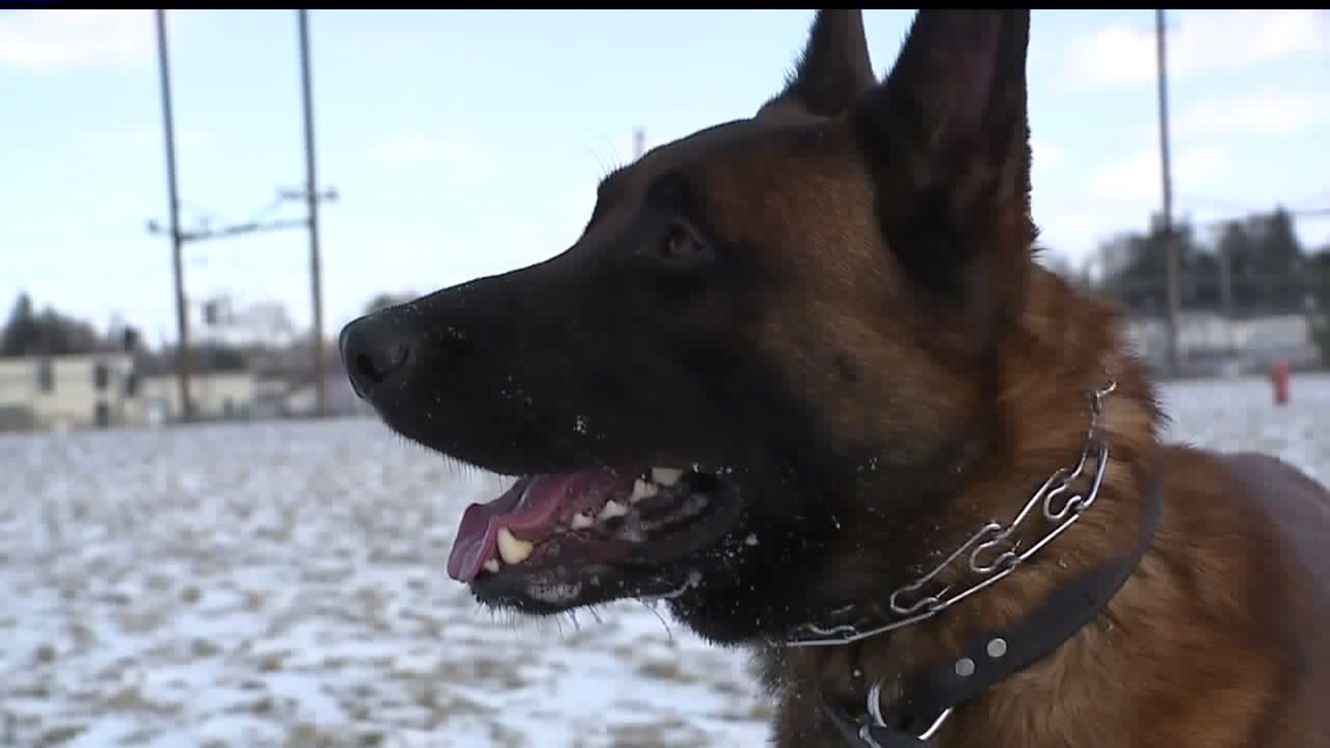 A day in the life of a K-9 officer with Lancaster City Police when it`s bitter cold outside