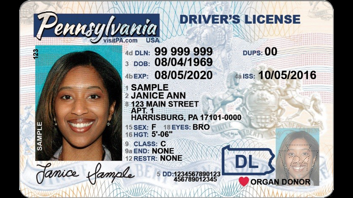 New look: DMV unveils new driver's license design
