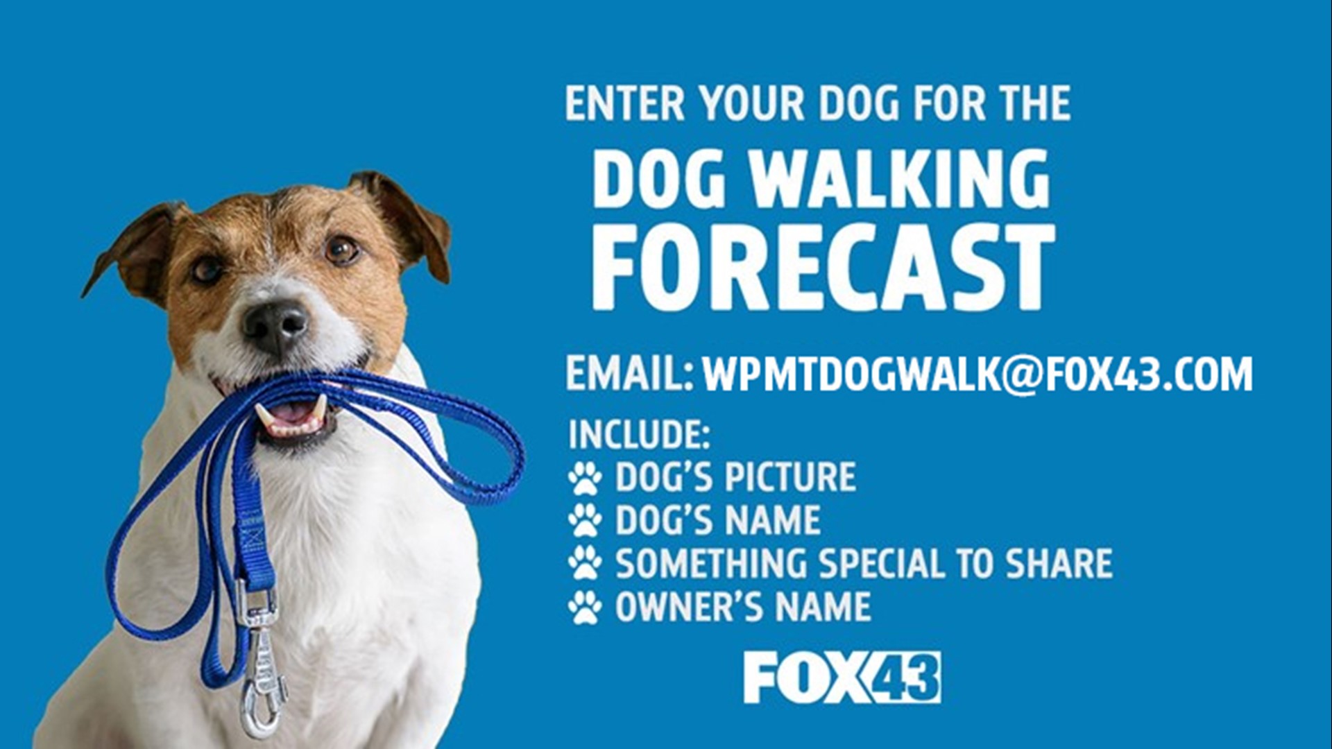 Submit your pictures for FOX43's Dog Walking Forecast | fox43.com