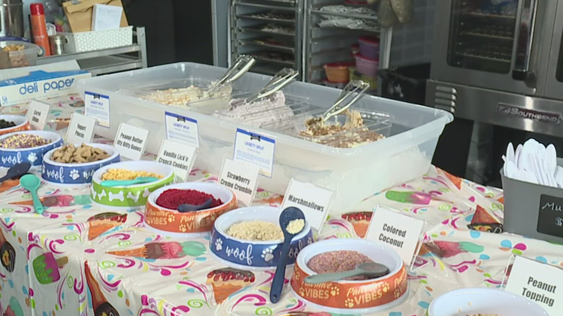 Three Dogs Bakery in Mechanicsburg pulled out all the stops for National Ice Cream Day, which included three pup-safe flavors and a variety of toppings.