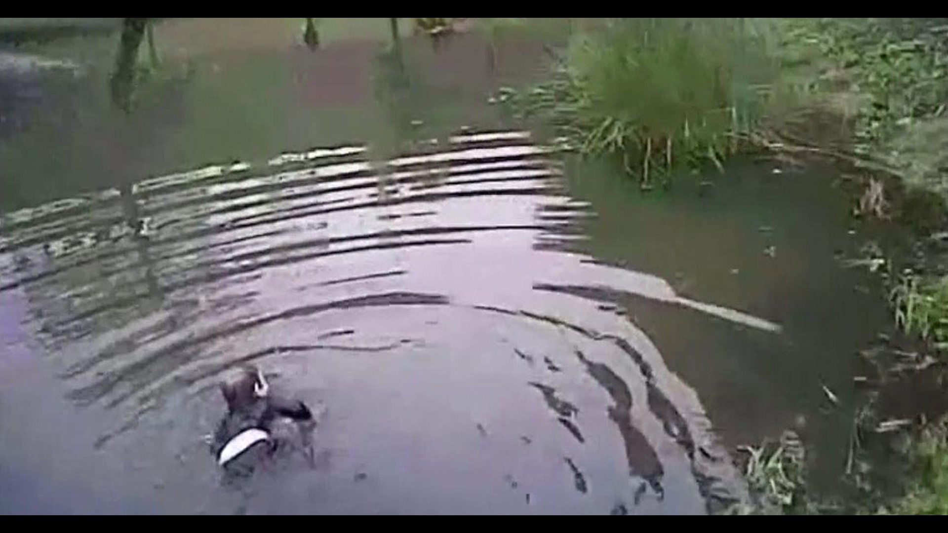 Bodycam video shows police officer dive into pond to save boy with ...