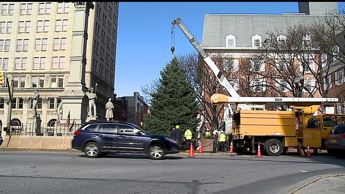 Lancaster Christmas tree arrives in Penn Square