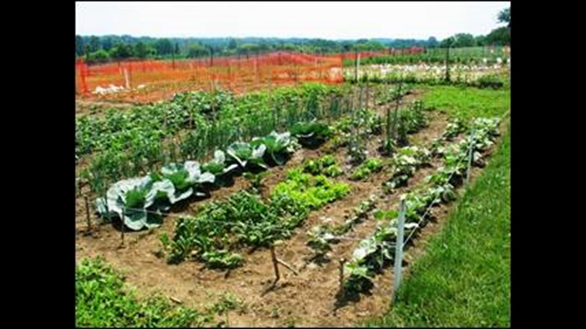 Calling all gardeners Rental garden plots for the 2020 season are