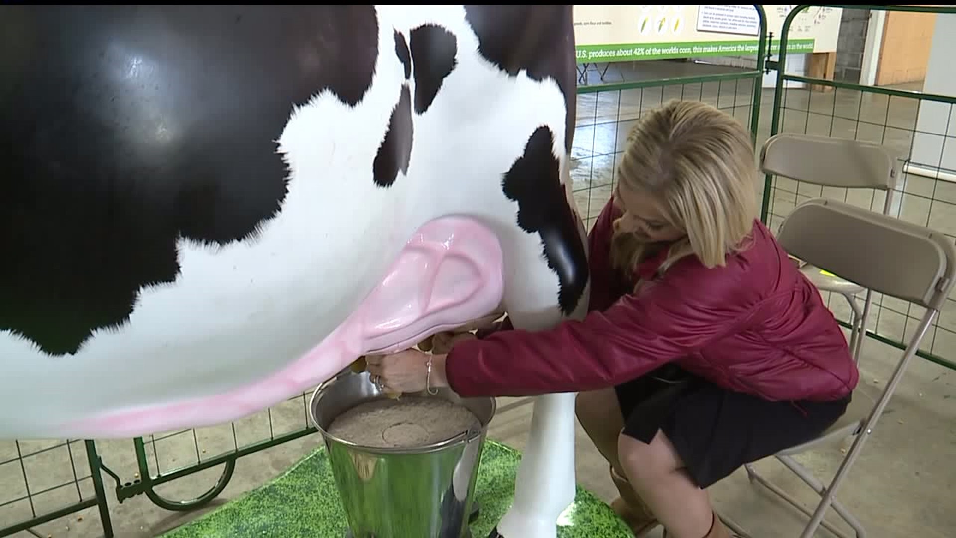 Agriculture Education Center Puts Fun In Fundamentals At York Fair