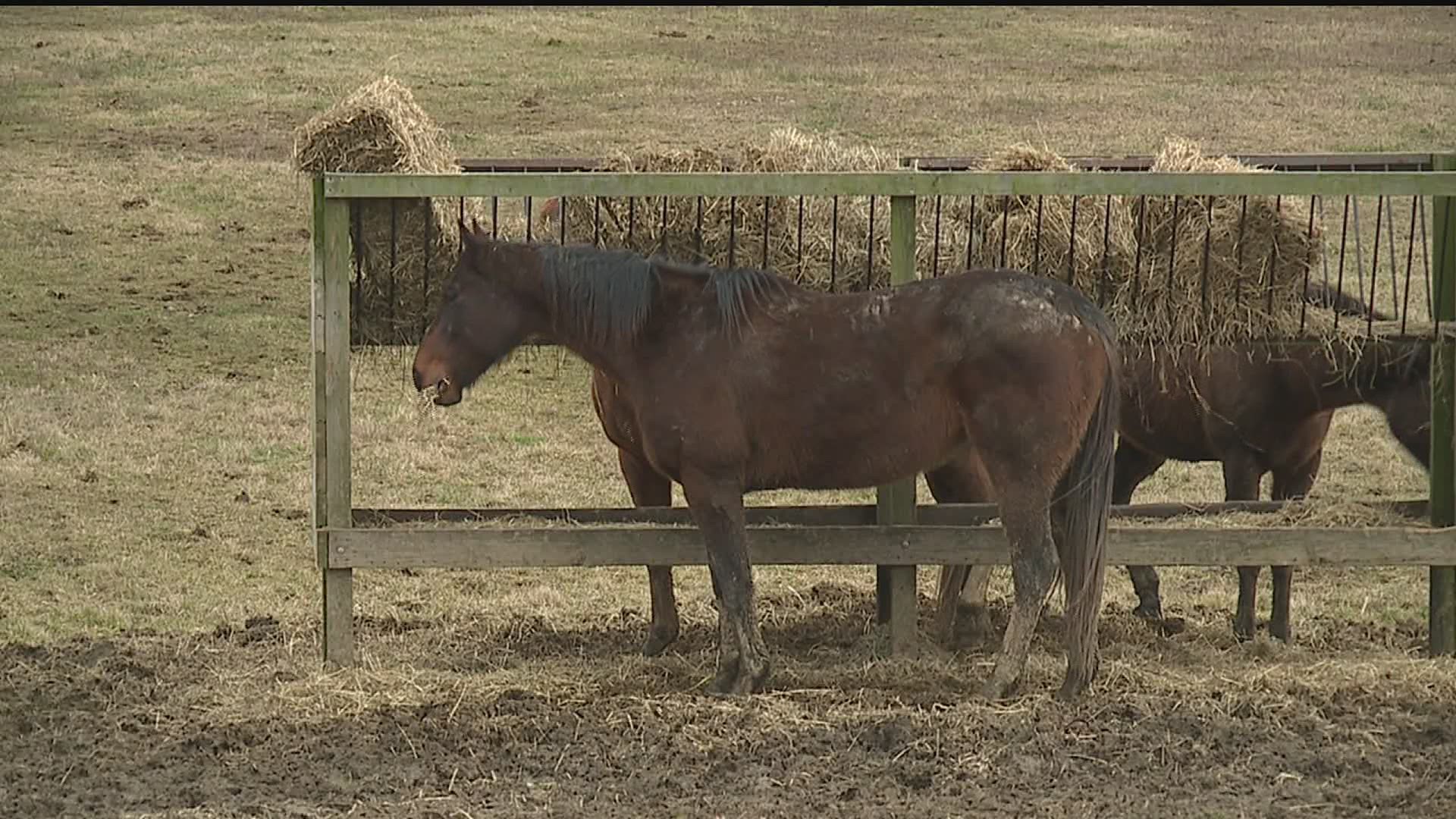Horse racing supporters rally in Lebanon County against budget proposal that would cut funding