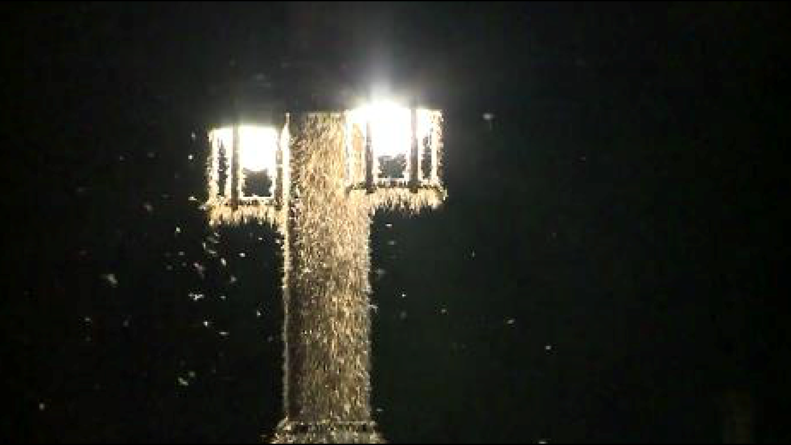Officials looking for long-term solution to Columbia-Wrightsville