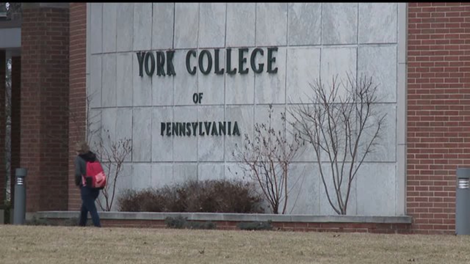 York College sorority suspended