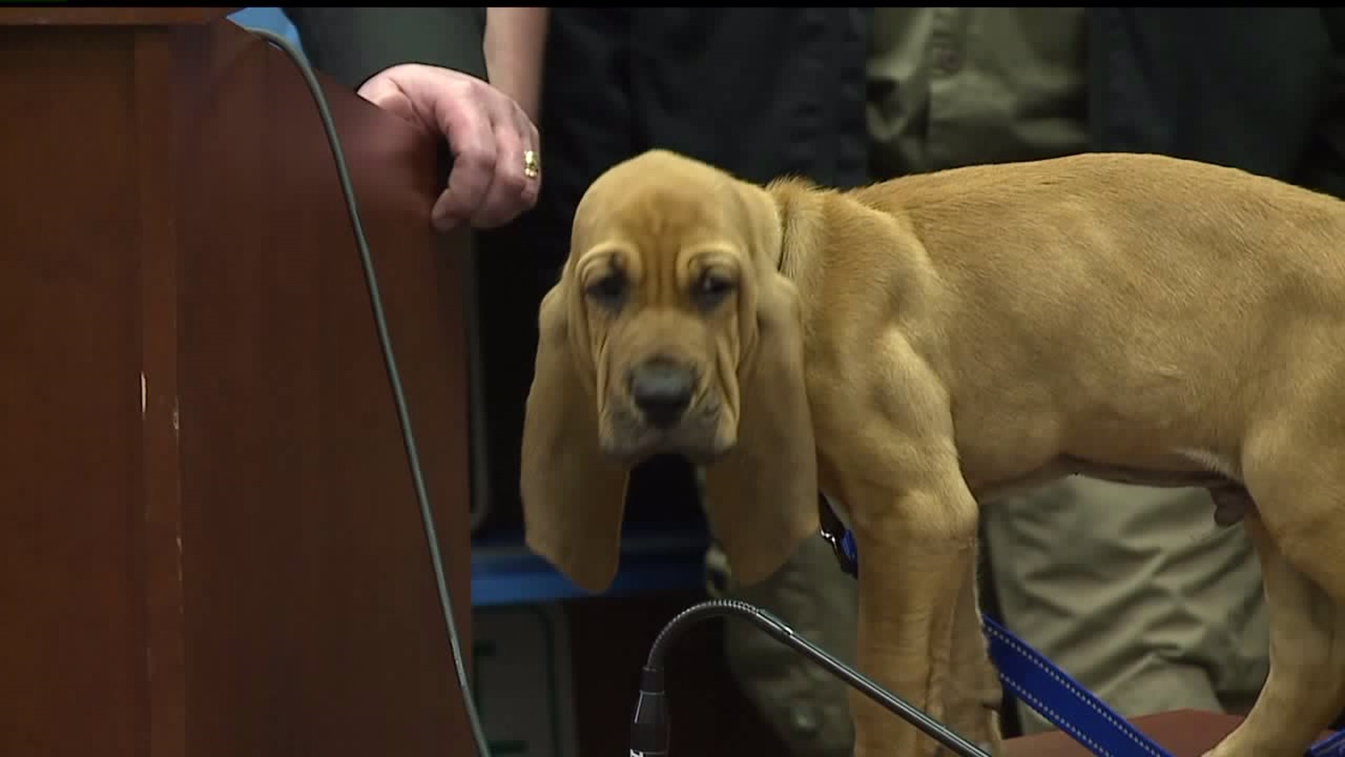 West York officials introduce new K-9 detective