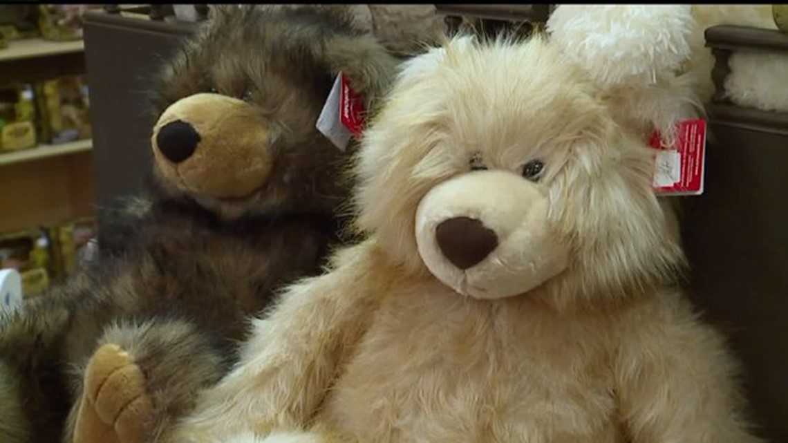 Stuffed up: What's in your teddy bear and why it could change - Vimarsana News