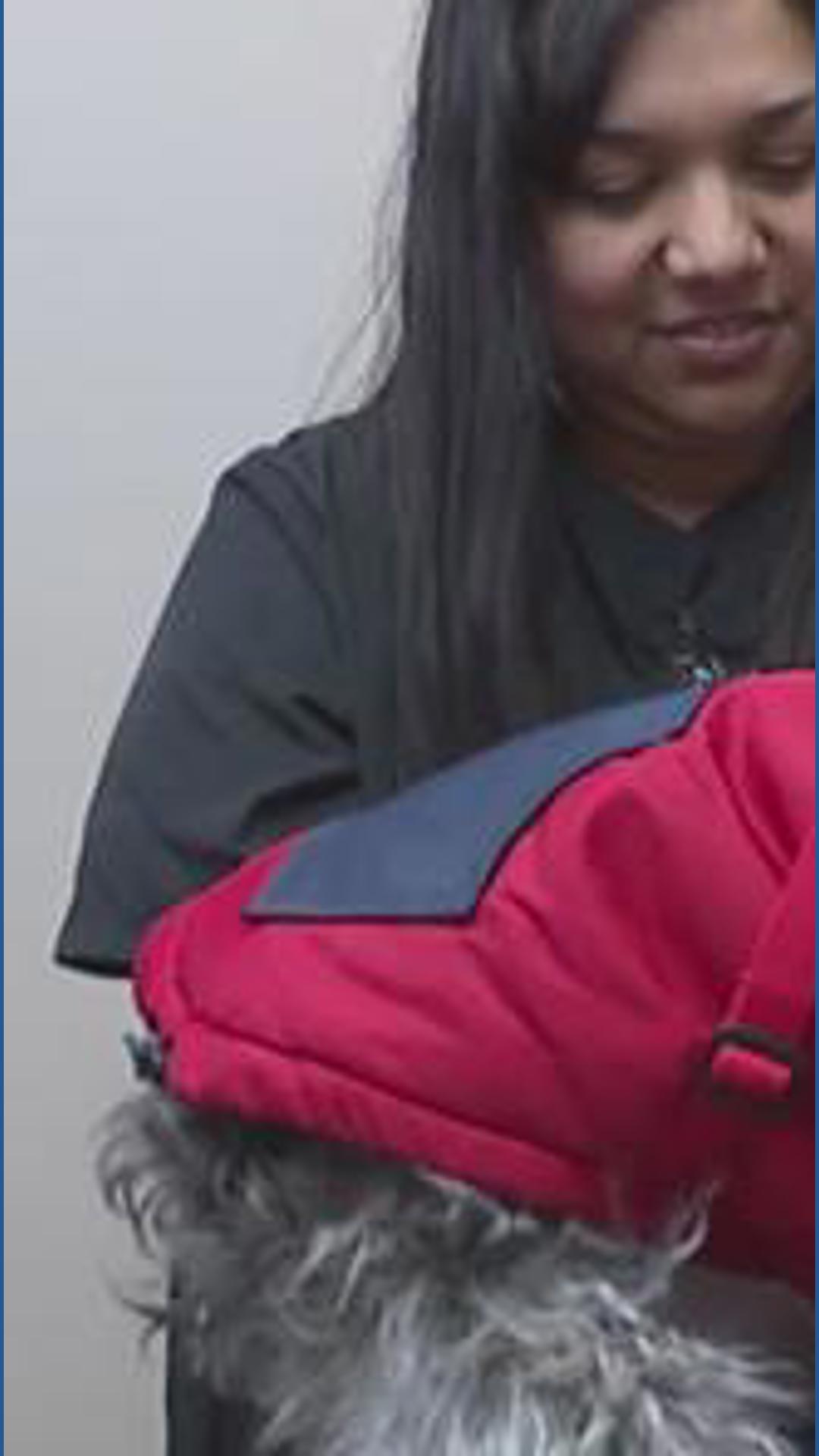 How to keep pets safe this winter