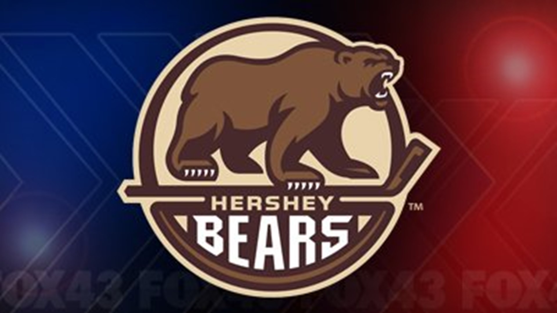 Hershey Bears Name Spencer Carbery Next Head Coach | Fox43.com