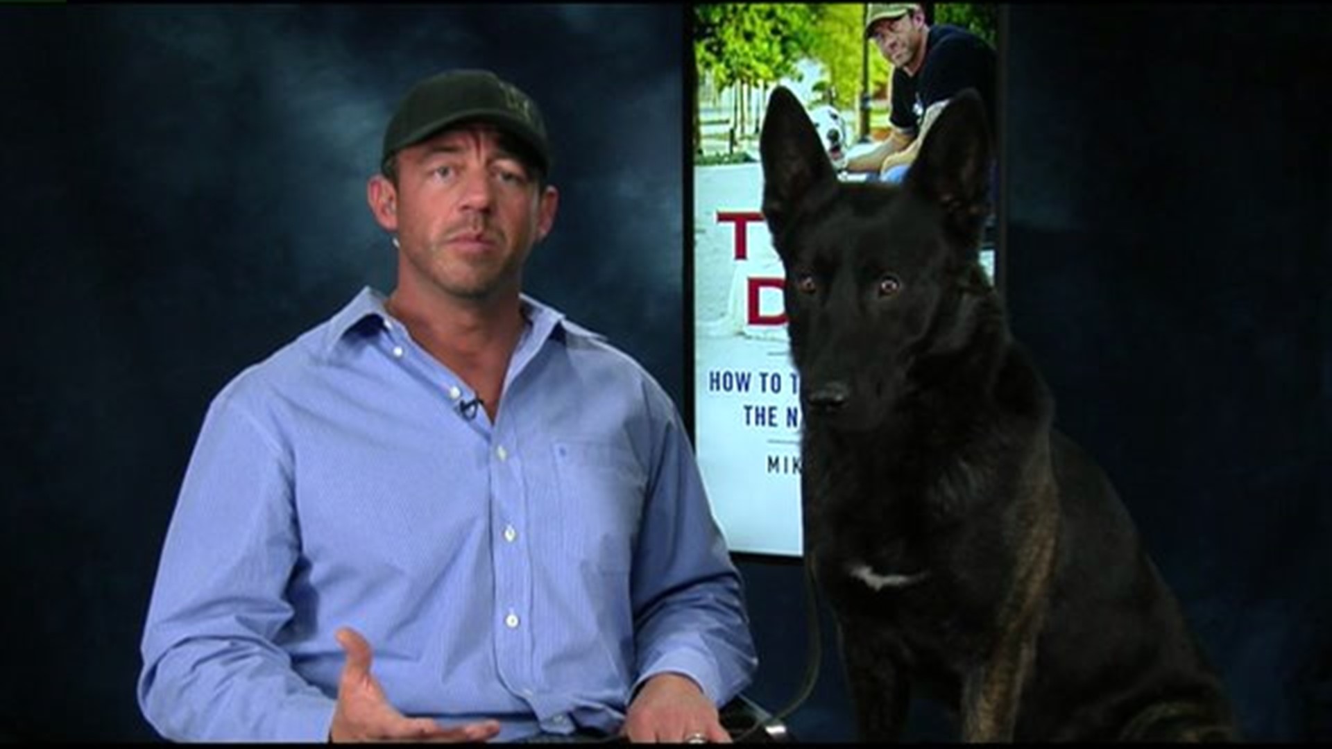 Train your dog the Navy Seal way with "Team Dog"
