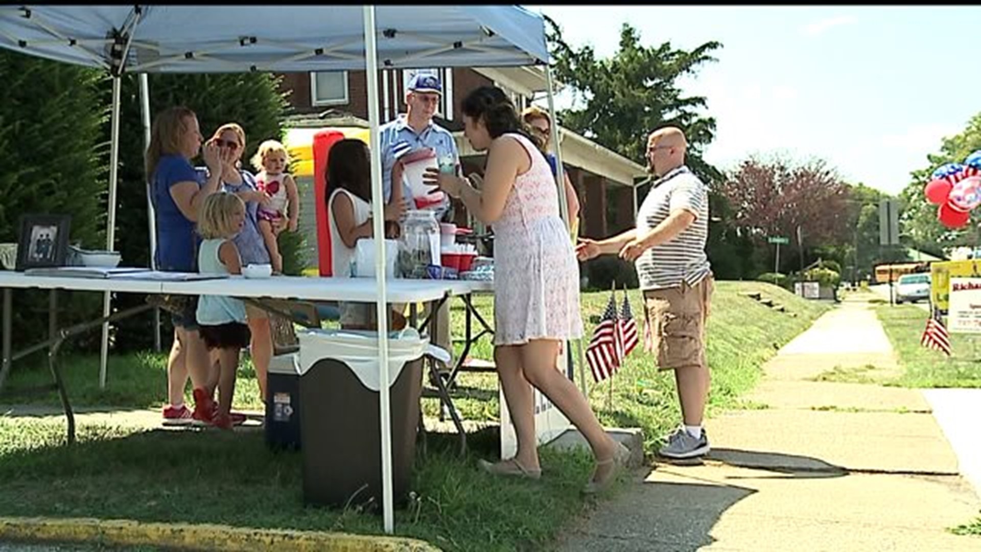 Lemonade stand raises money for vets