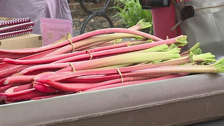 Lancaster County community celebrates the return of annual rhubarb festival