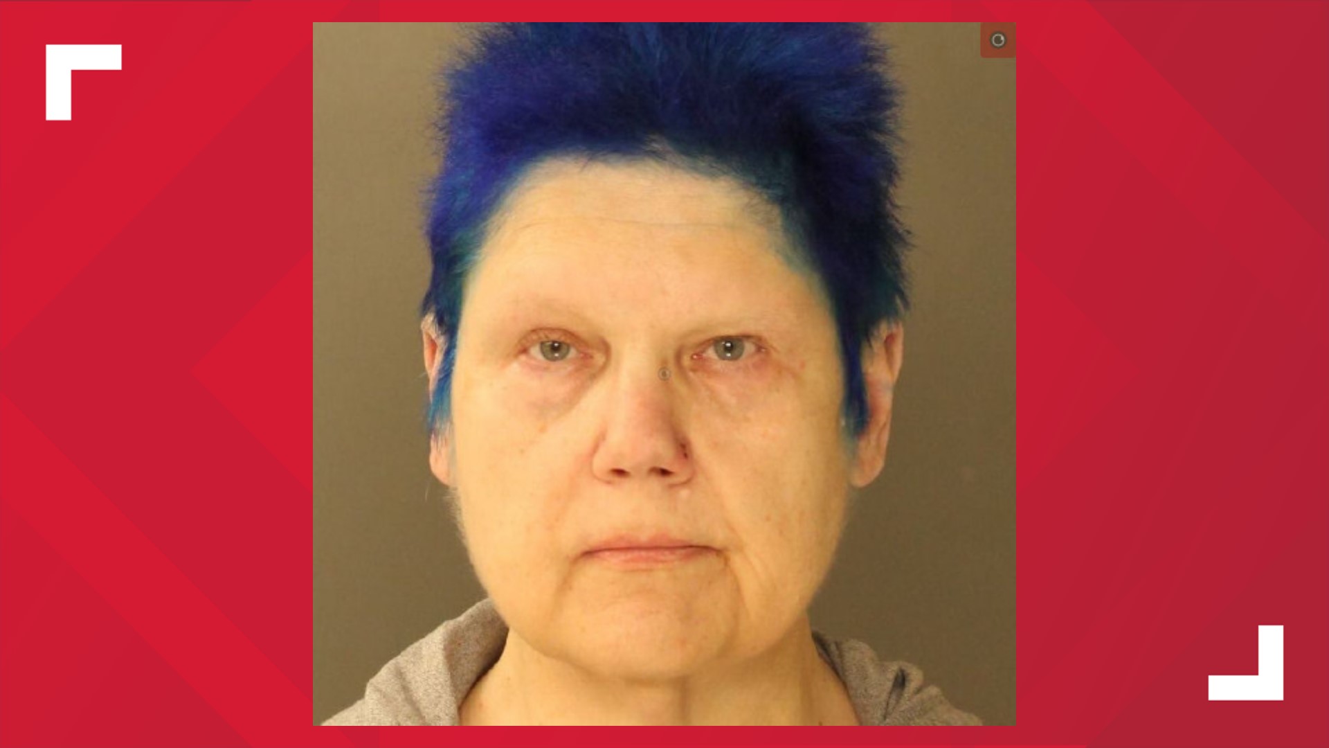 Harrisburg woman accused of stealing $2,600 worth of merchandise from ...