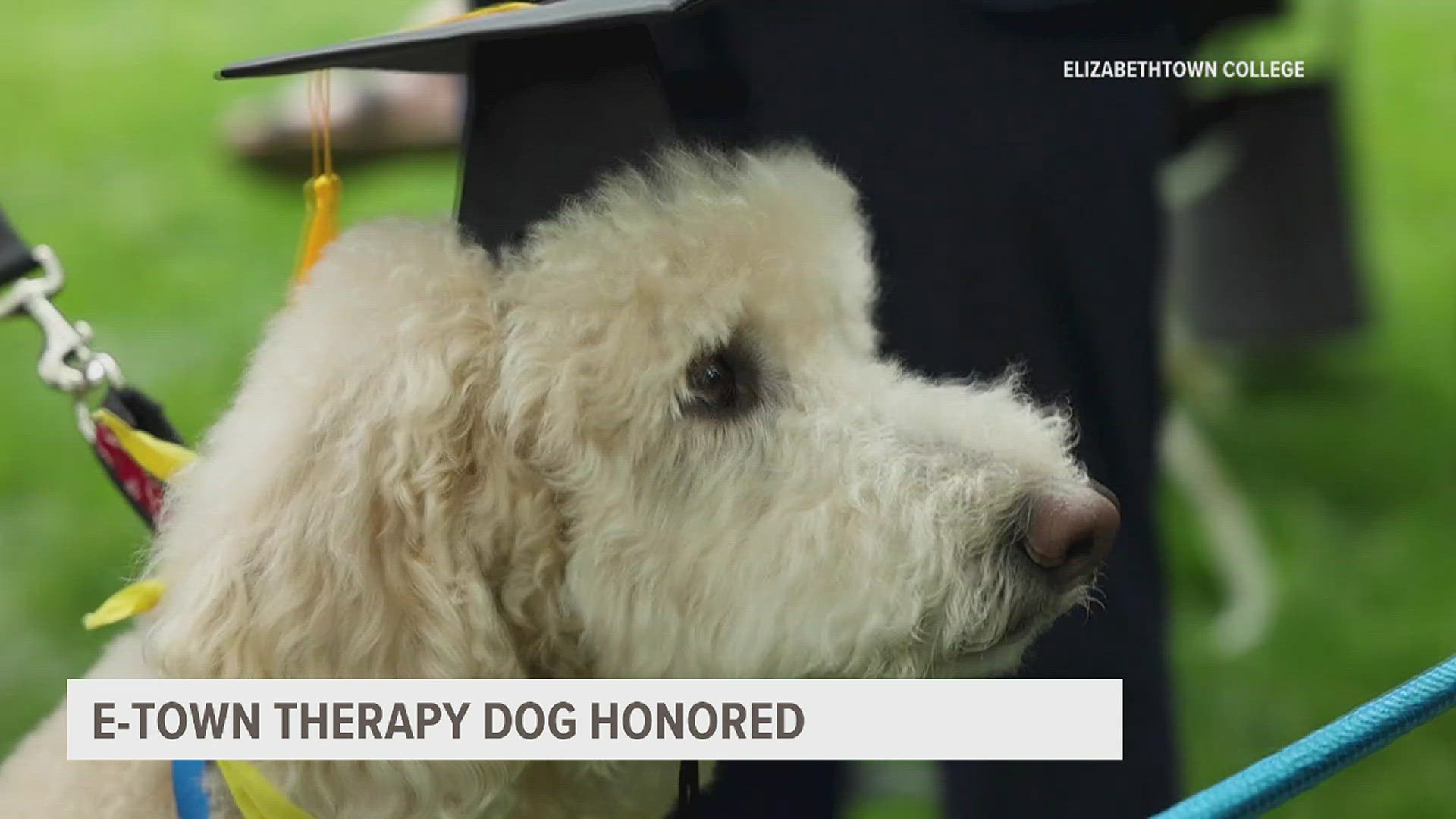 Elizabethtown College honored a four-legged friend who has helped students the past decade.