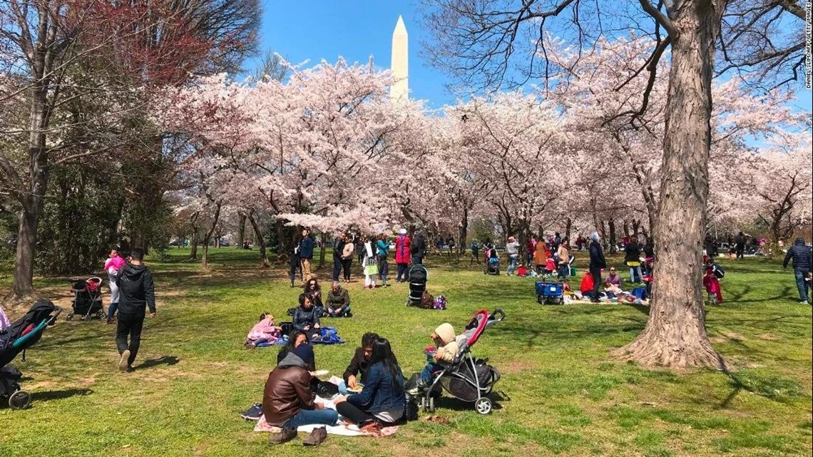 The first day of spring is here. Here’s what you should know about the ...