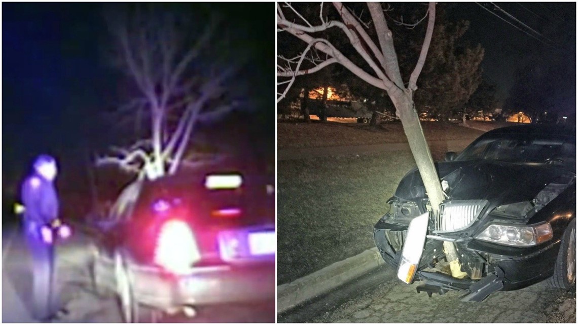 Woman arrested for DUI after driving with 15-foot tree stuck in grille ...