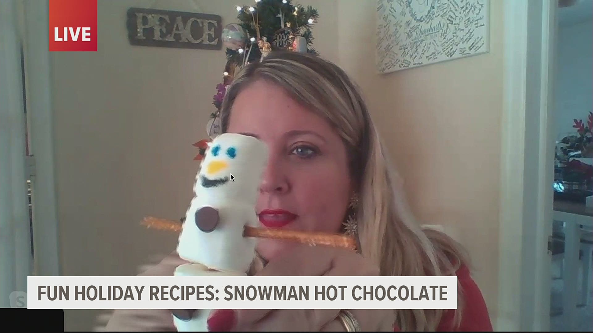 Holidays look different this year, party host helpers shows ways you can use different DIY recipes to entertain