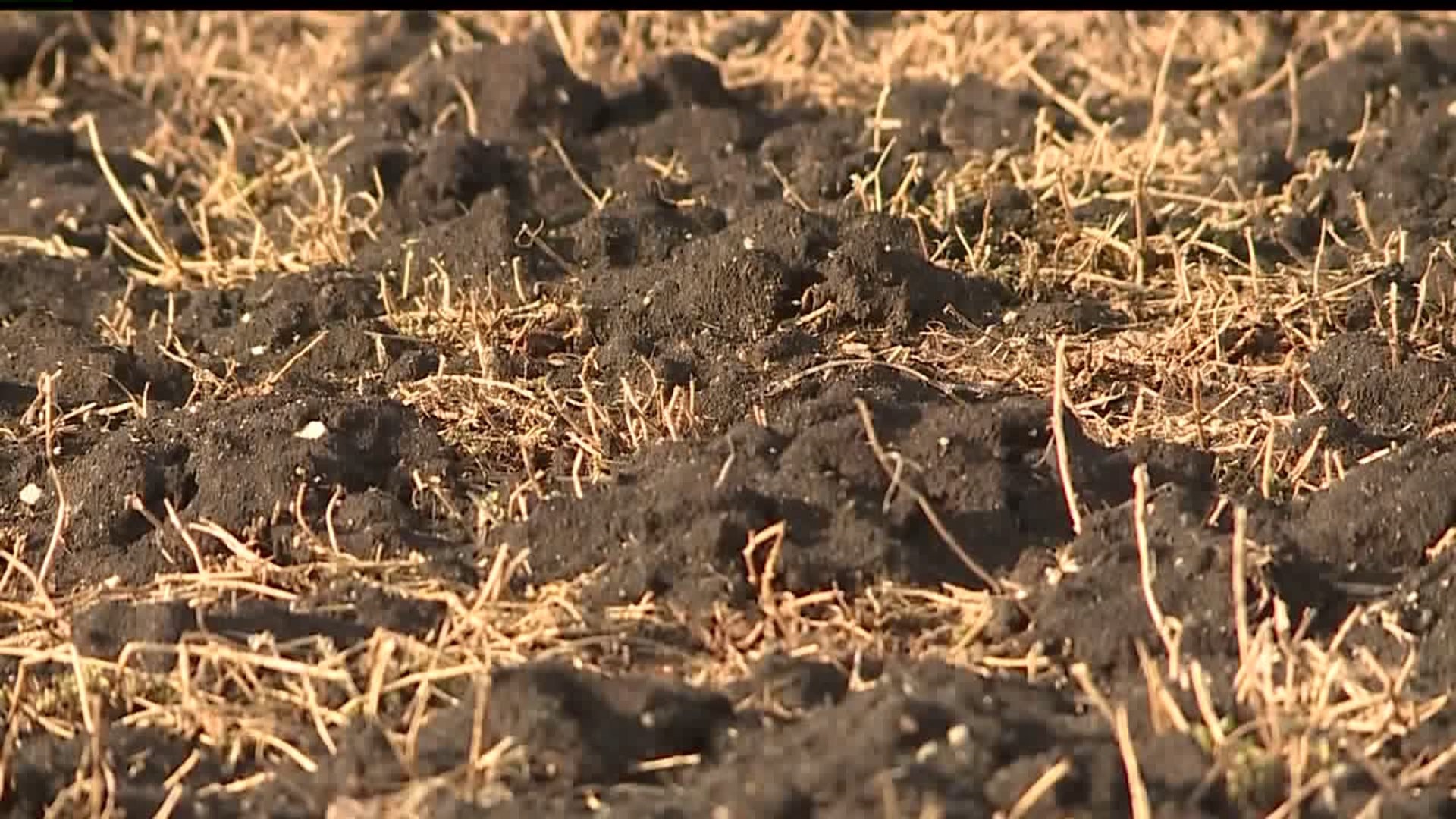 Neighbors blame farm for smelly situation in Dauphin County
