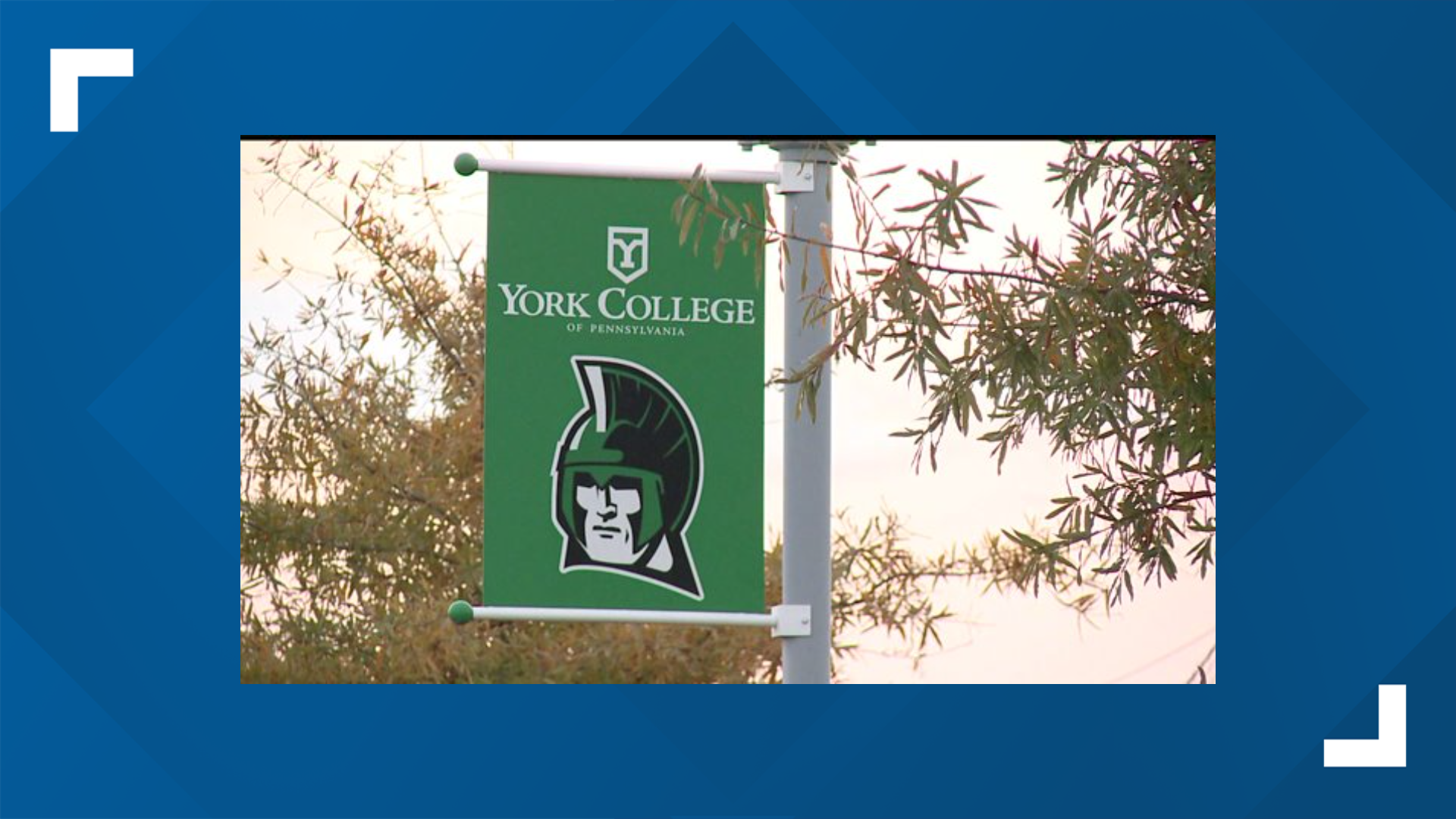 York College Sorority Suspended After Violations