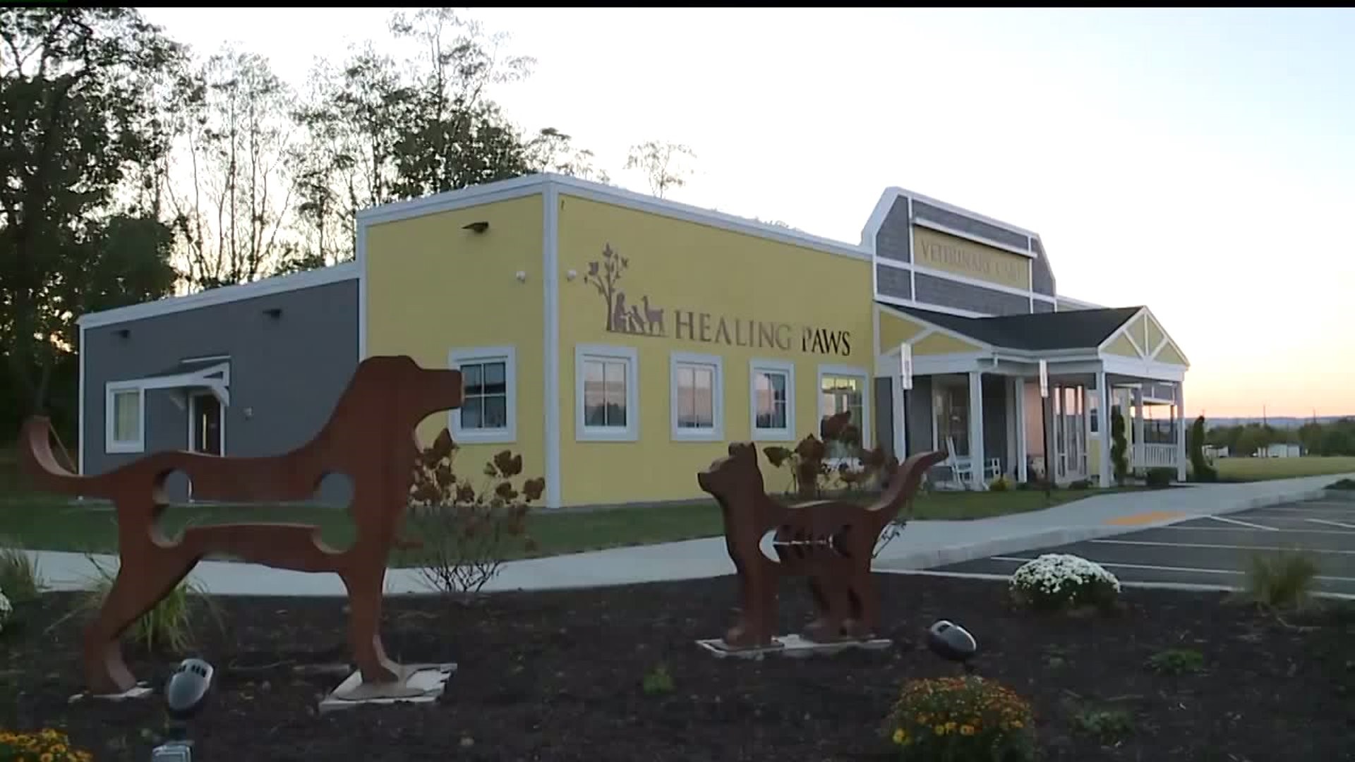 Veterinary clinic in Cumberland Co. creates relaxing environment for pets and owners