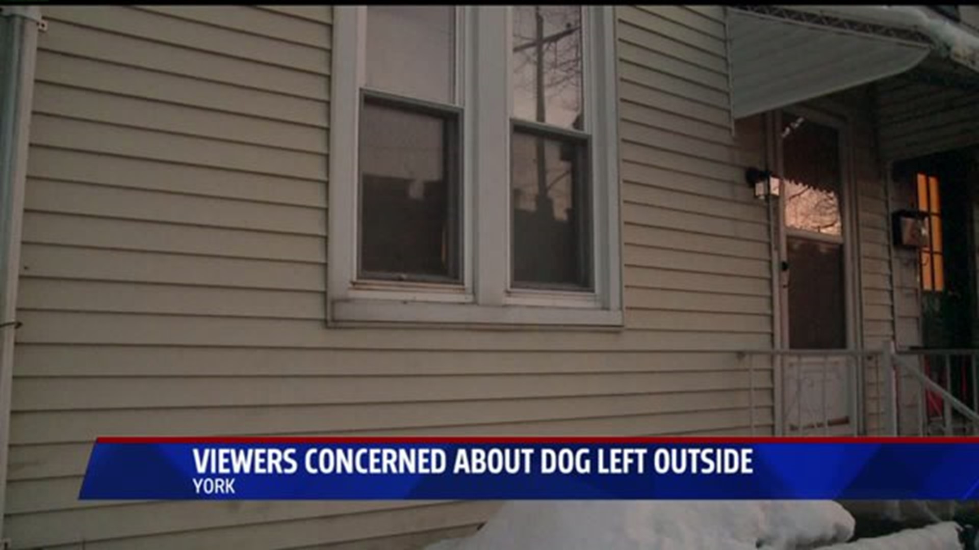 Dog outside in cold raises public concern