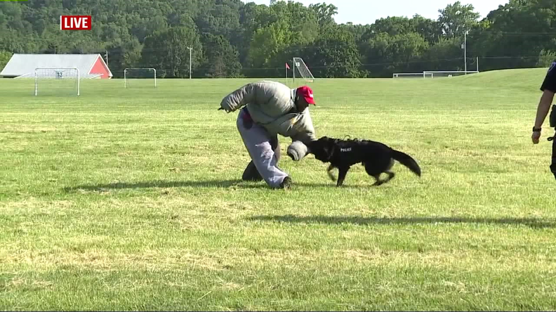 Training K-9 Officers with K-9`s of Police Services