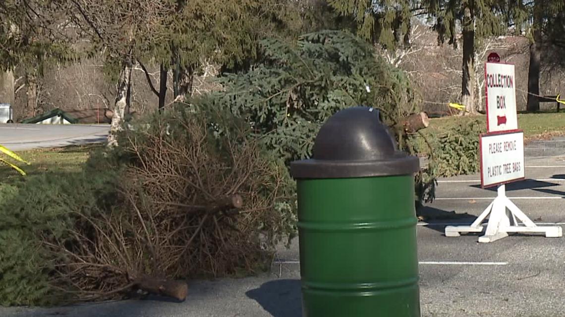 York County Solid Waste Authority offers free Christmas tree recycling ...