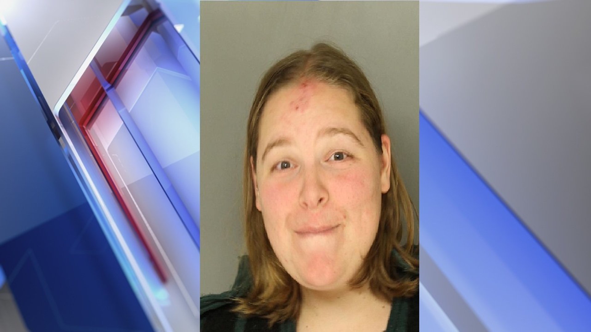 Columbia woman accused of attacking police officer after making false ...