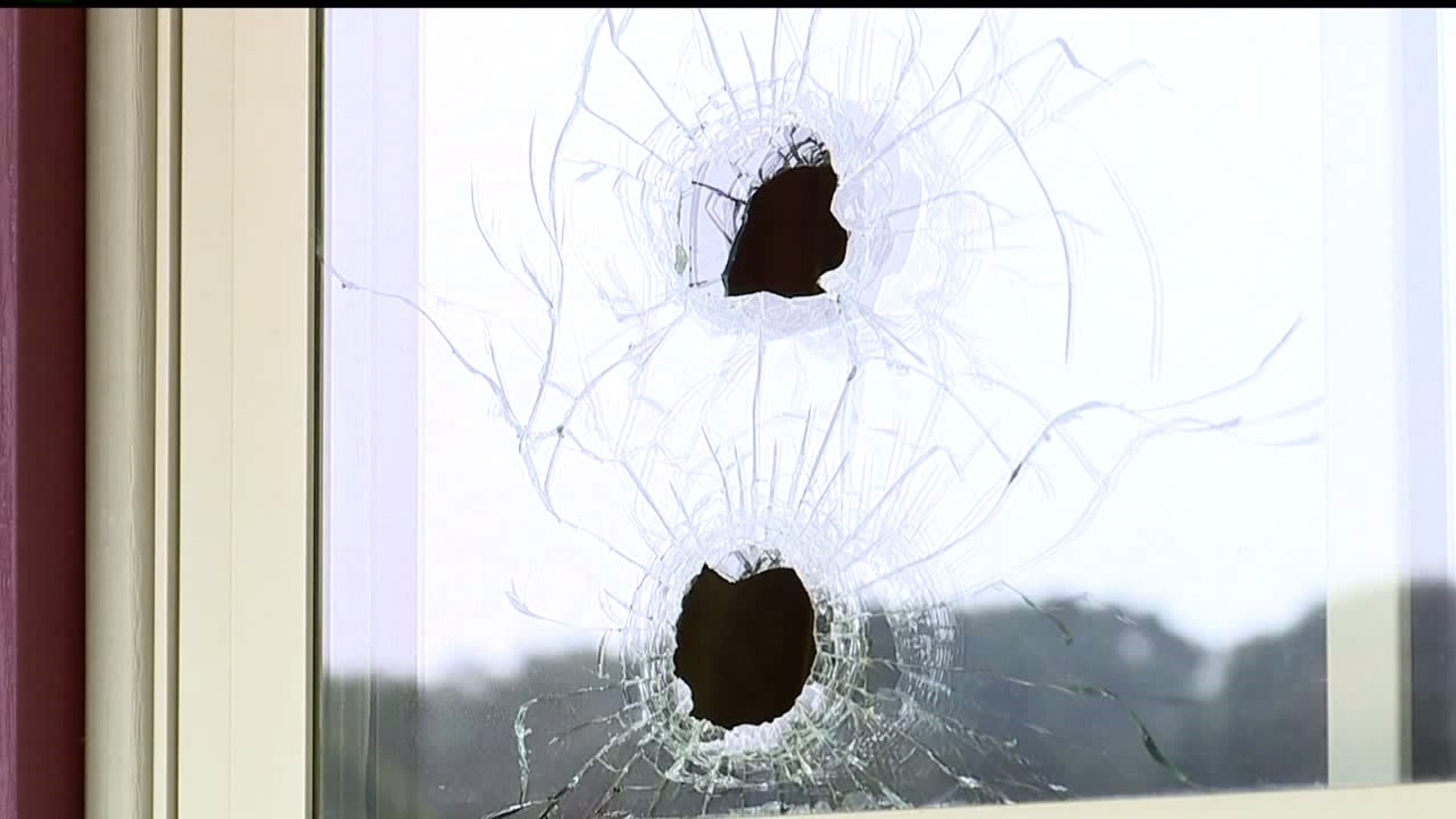 Stray bullets go through home narrowly missing children inside