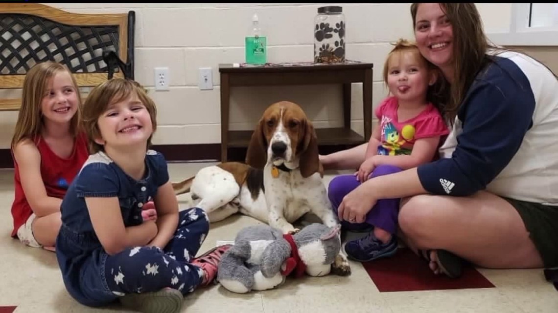 Family crediting dog for rescuing children from possible kidnapping