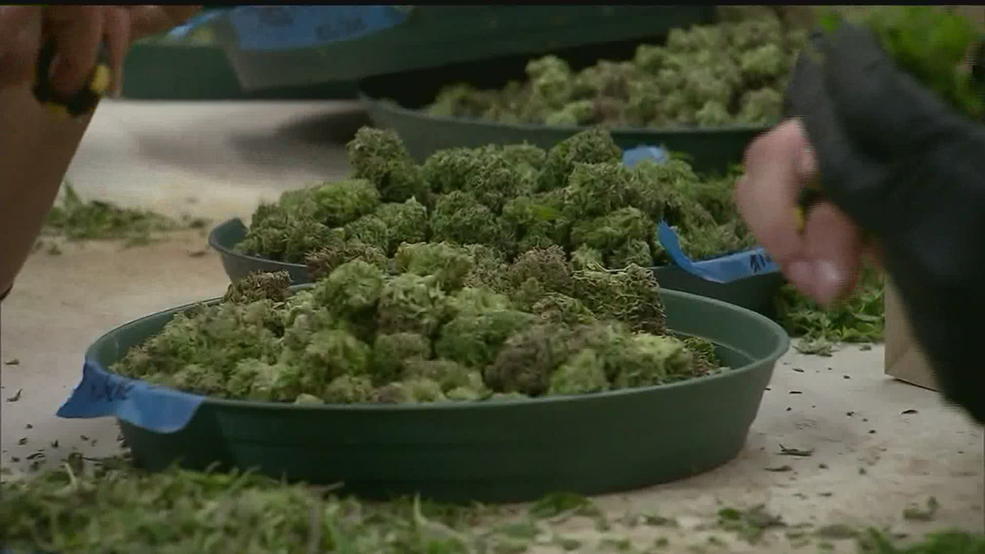 Proposed laws could make it easier for dispensaries to conduct business in Pennsylvania.