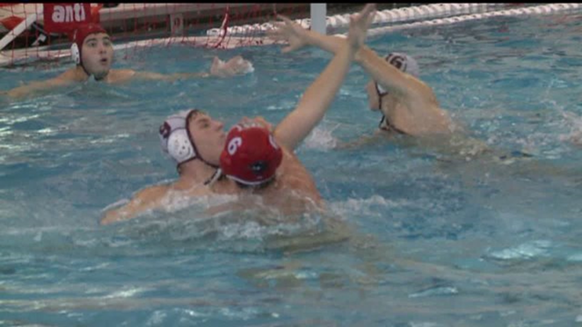 The Sadowski Spotlight Beast Of The East Water Polo Fox43 Com