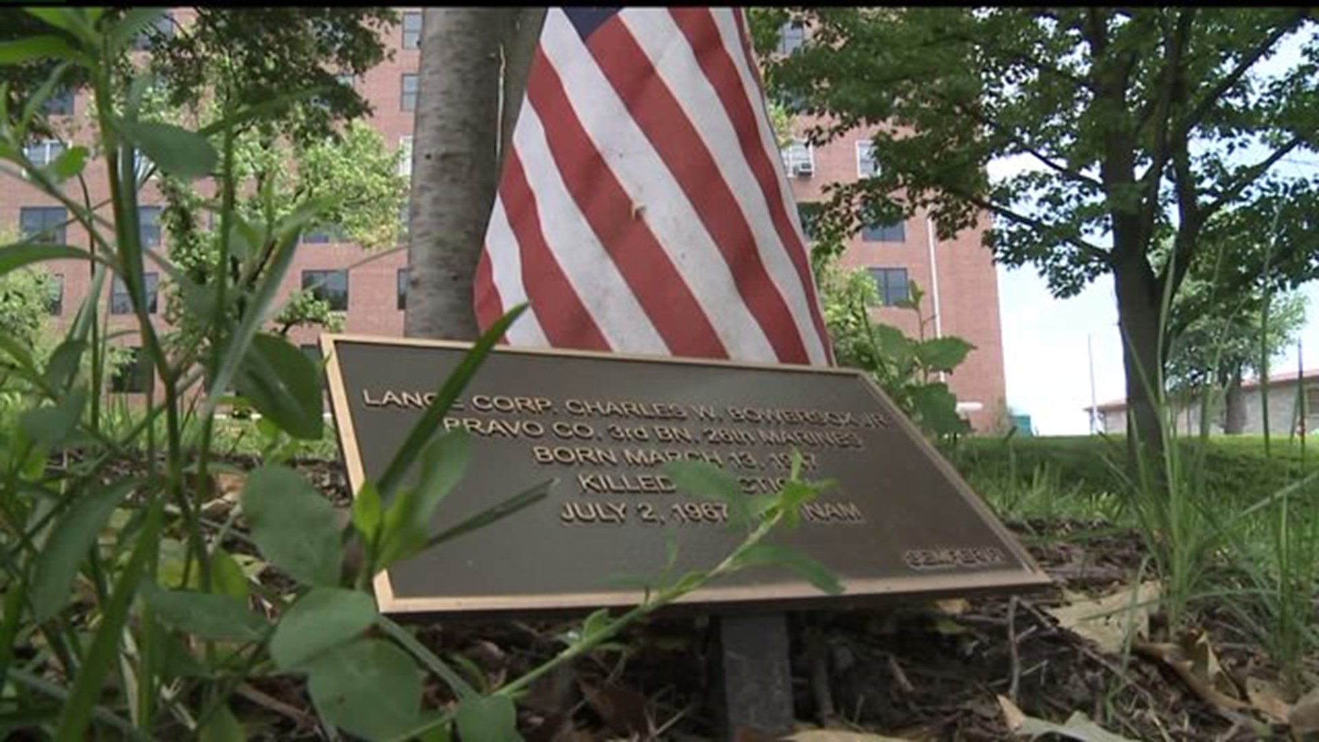 Tree honors fallen veteran in Harrisburg