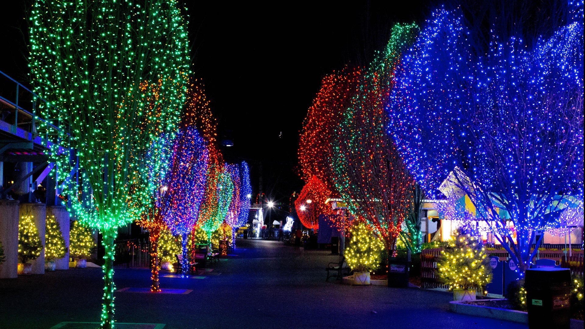 Hersheypark's Christmas Candylane runs until Jan. 1.
