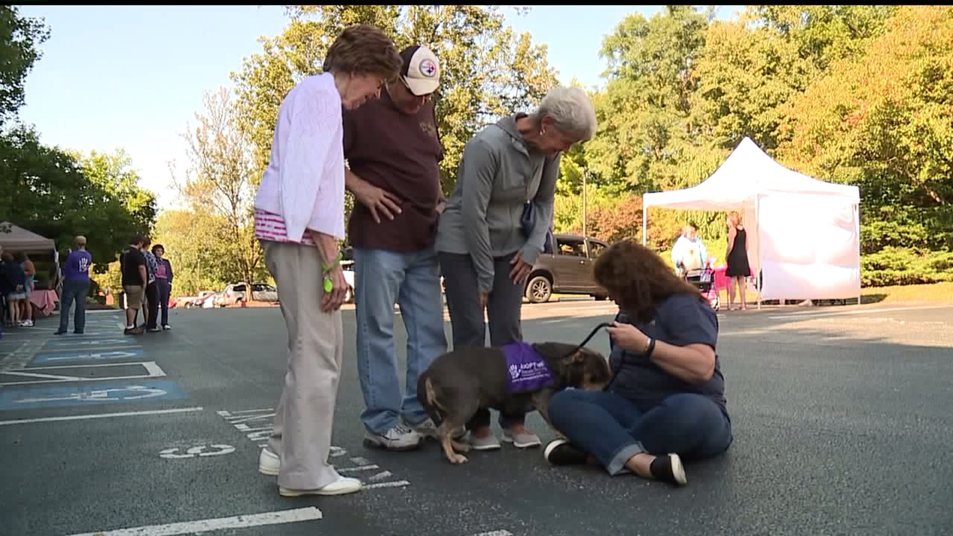 "Wagging in the Woods" event raises money for Alzheimer`s Association