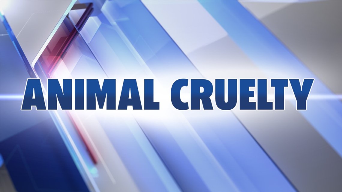 Lancaster County kennel owner charged with animal cruelty for