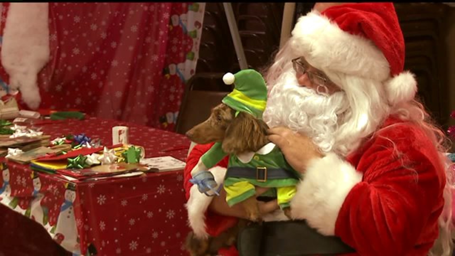 Annual bazaar held with furry friends