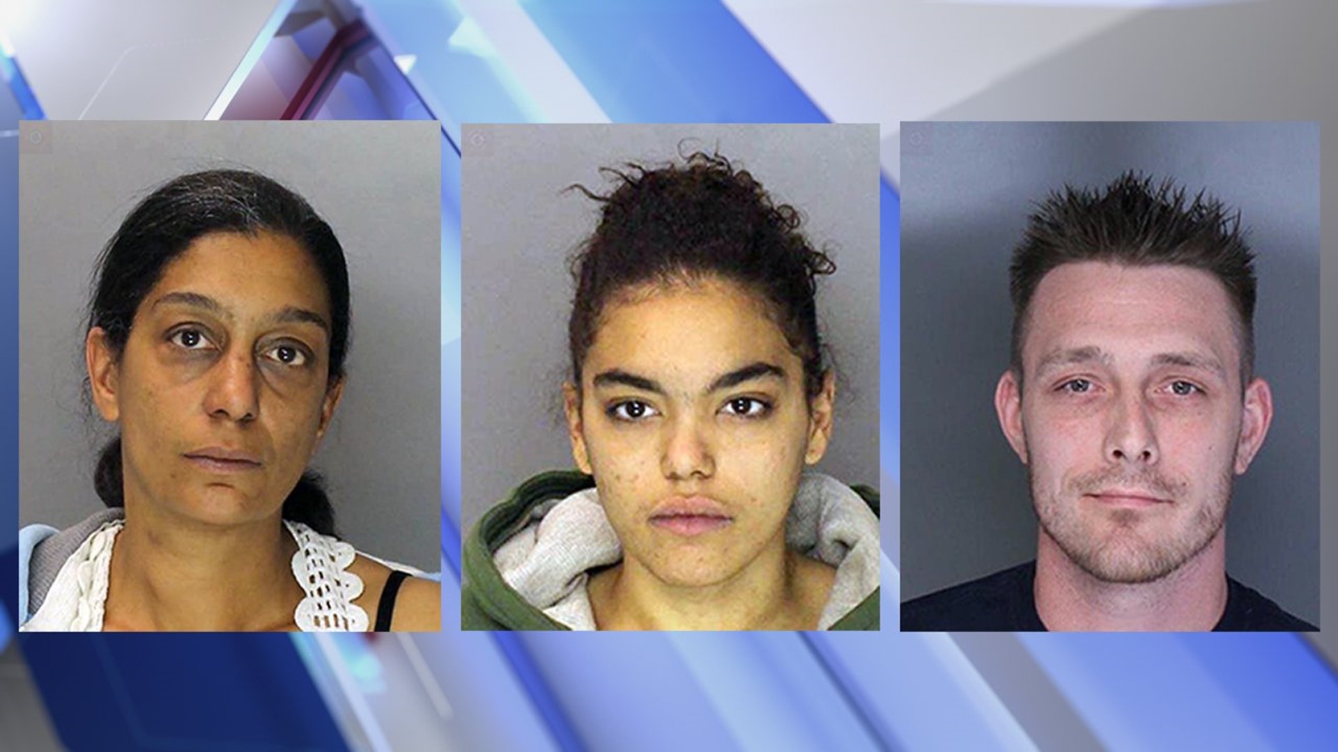 Police Raid Steelton Home Three Arrested On Drug Weapon Charges 