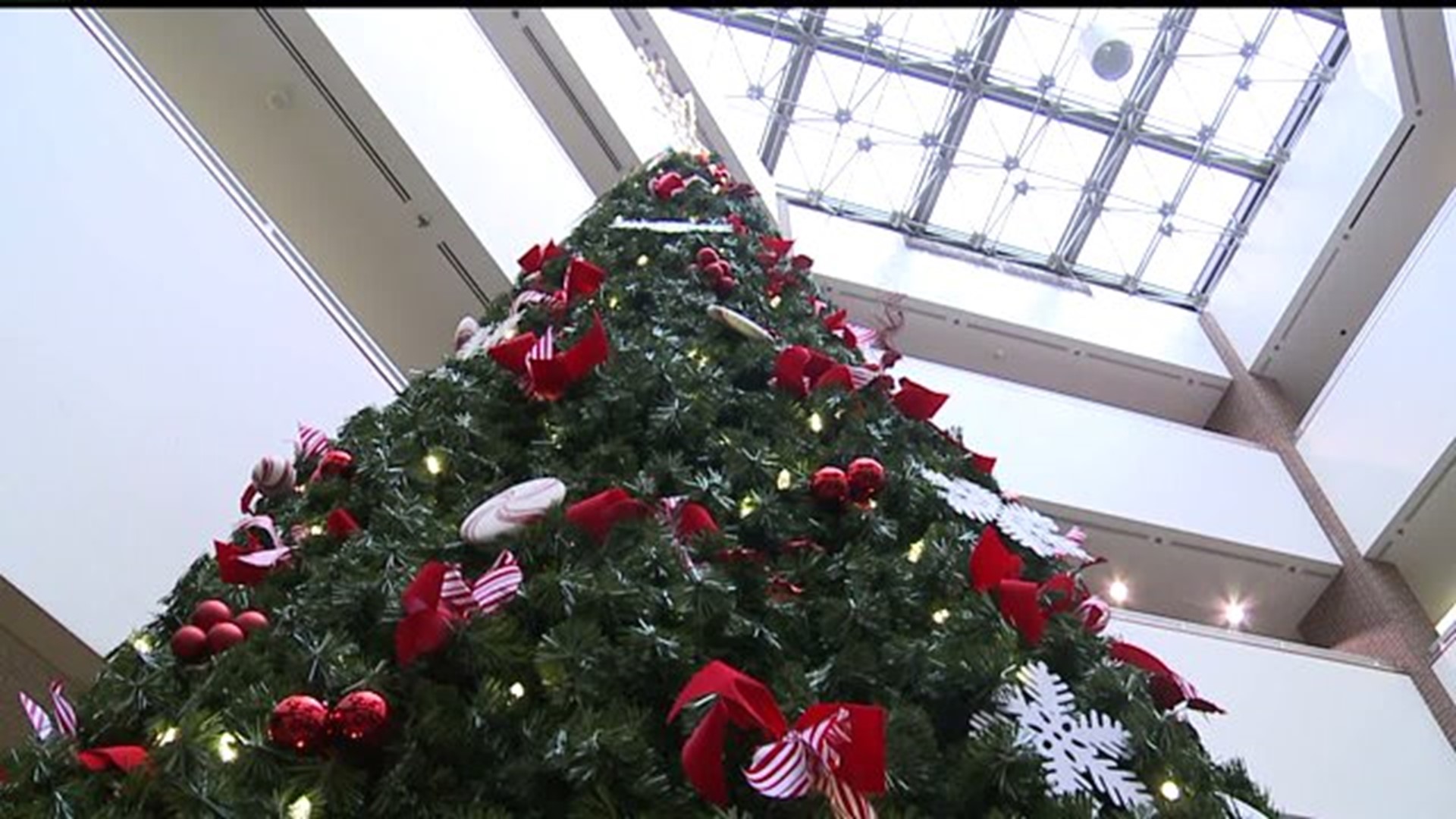 Holiday tree lighting in Harrisburg