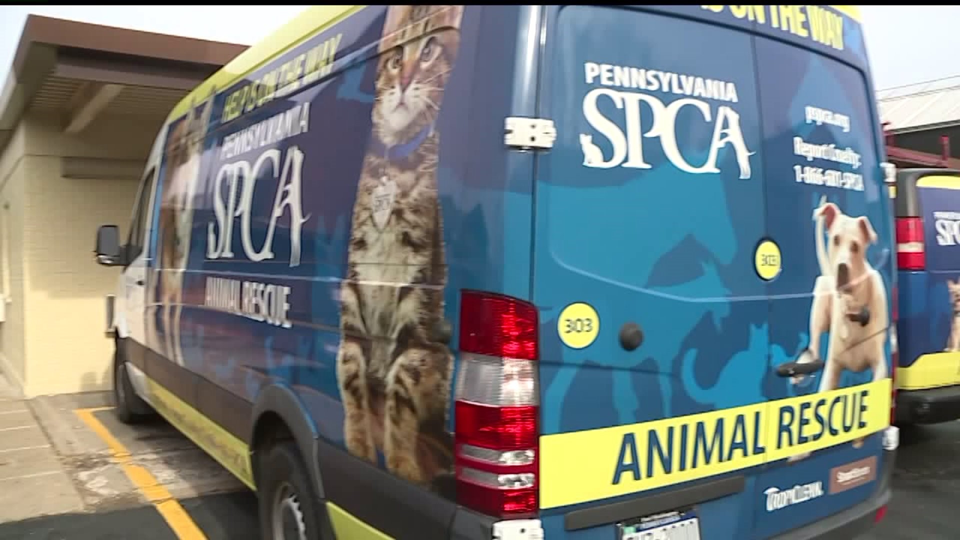 The CEO of the PSPCA calls for state funding for animal rescues and animal cruelty enforcement efforts
