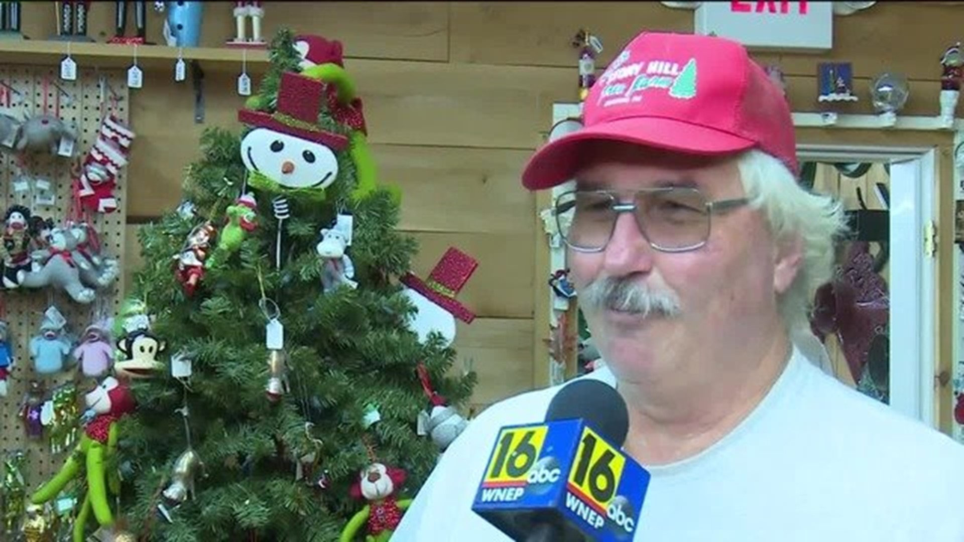 Christmas Tree stand collection breaks Guinness World Record