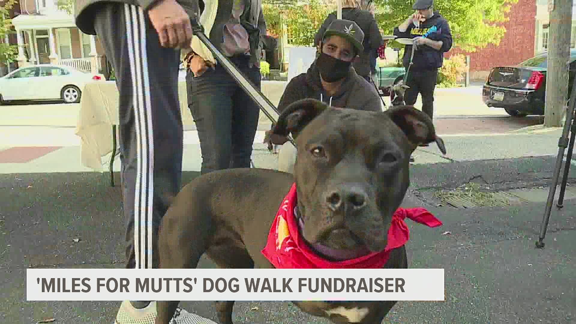 Dozens joined in on the one mile stroll which raised money to help animals in need of emergency care.