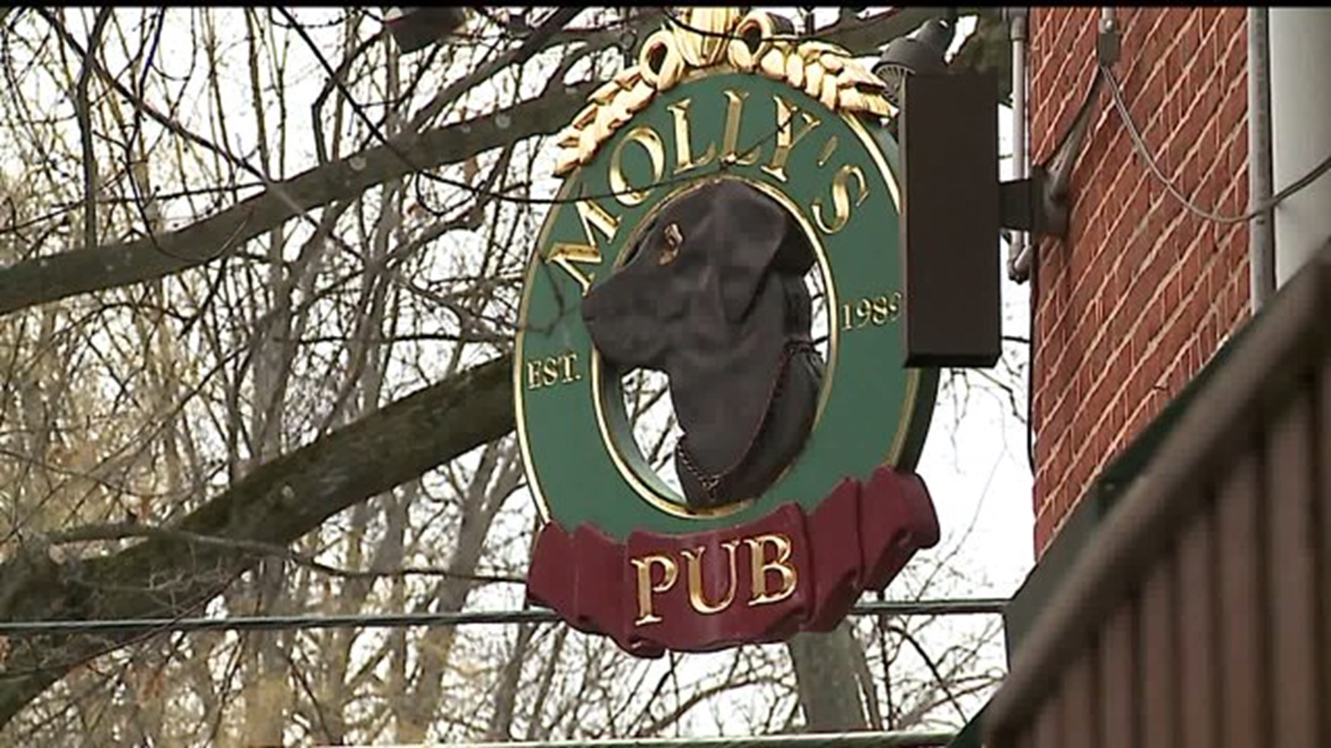 Pub owner charges