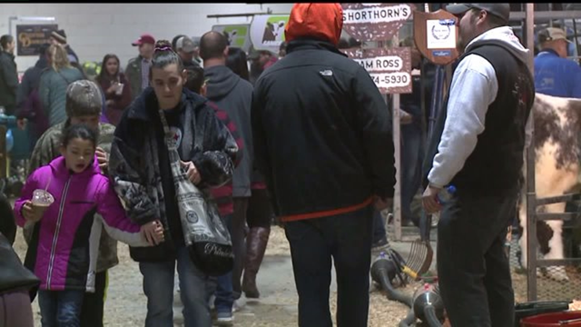 Thousands enjoy milkshakes, exhibits and animals at the 101st Pa. Farm Show