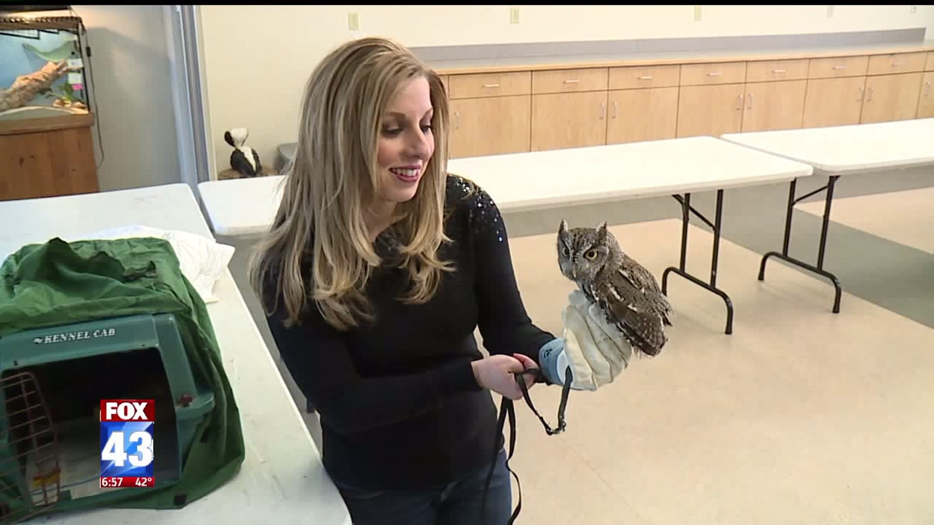 Fox43`s Andrea Michaels tries being a zookeeper for a day at ZooAmerica