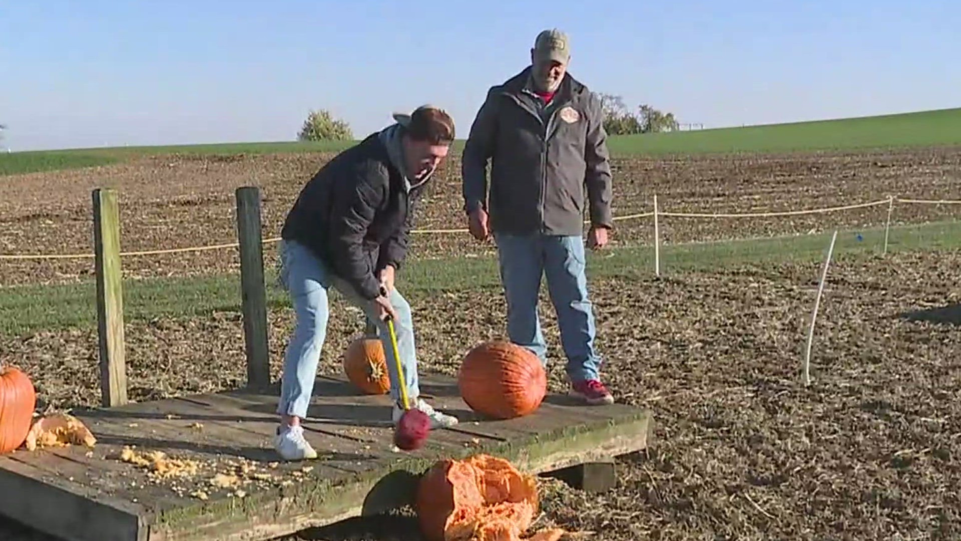 It's full-on pumpkin destruction on Saturday from 12 p.m. to 10 p.m. at Cherry Crest Adventure Farm in Lancaster County.