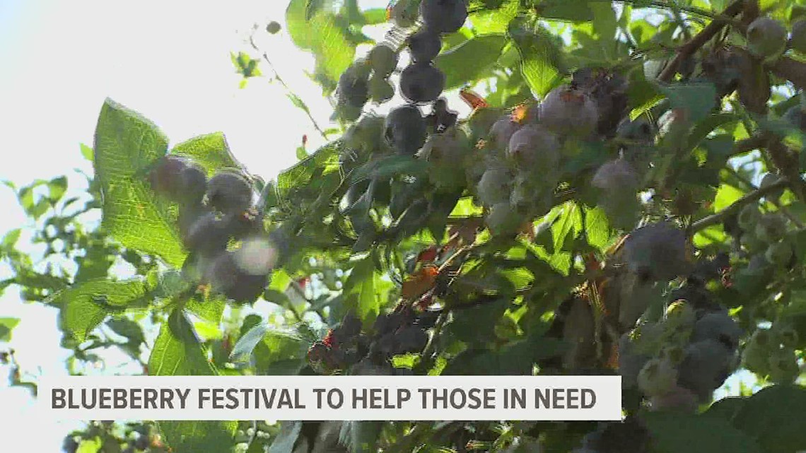 Day of blueberries benefits Harrisburg Ecumenical Food Pantry - Vimarsana News