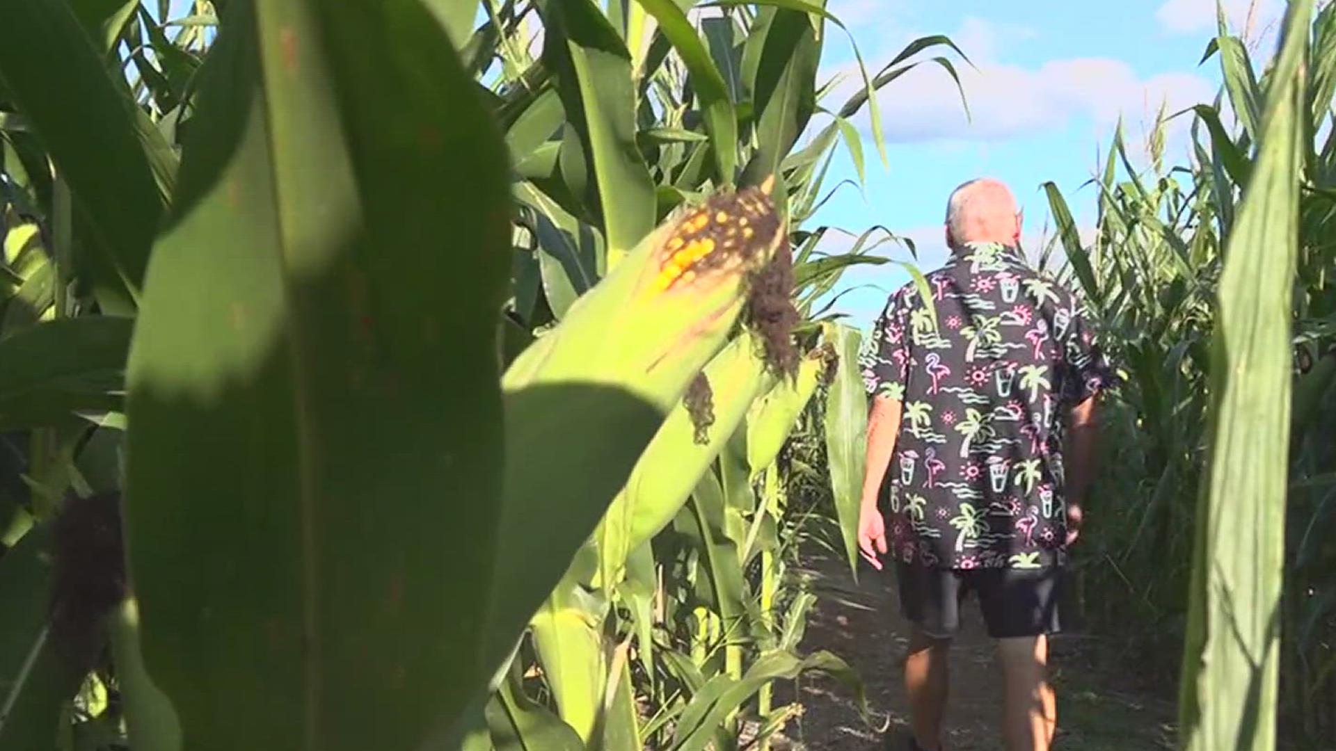 A Cumberland County farmer finds a sense of community in fall festivities.